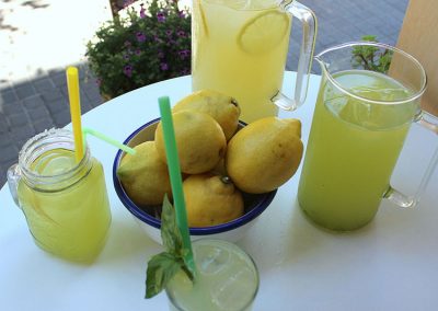 limonada-con-menta